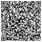 QR code with Pulaski County Elementary contacts