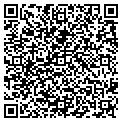 QR code with Insyde contacts
