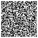 QR code with Critical Signal Tech contacts