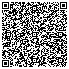 QR code with Pulaski Community School Dist contacts