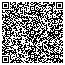 QR code with Pythia Insurance LLC contacts