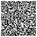 QR code with Pure Vibes Fitness contacts