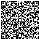 QR code with Ppg Refinish contacts