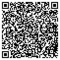 QR code with Dang contacts