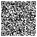QR code with Palmer David contacts