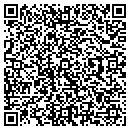 QR code with Ppg Refinish contacts