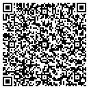 QR code with Premier Dry Cleaners contacts
