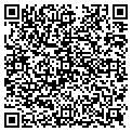 QR code with M & MS contacts