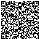 QR code with Public Library Systems contacts