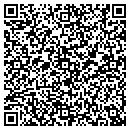 QR code with Professional Furniture Service contacts