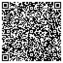 QR code with Cave Spring Library contacts