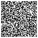 QR code with Cairo Public Library contacts