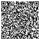 QR code with Colona Public Library contacts