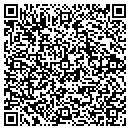 QR code with Clive Public Library contacts