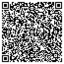 QR code with Process Techniques contacts