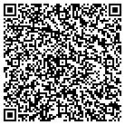 QR code with Plains Community Library contacts