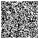 QR code with Practice Synergy LLC contacts