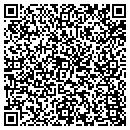 QR code with Cecil Co Library contacts