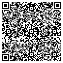QR code with Carp Lake Twp Library contacts