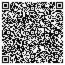 QR code with Promise Upholstery contacts