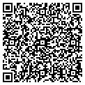 QR code with Ilwu contacts