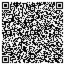 QR code with Cook Public Library contacts