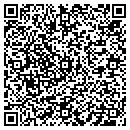 QR code with Pure Fun contacts
