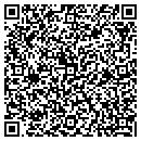QR code with Public Libraries contacts