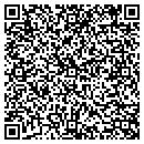 QR code with Present Value Systems contacts