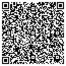 QR code with Brice Development Inc contacts