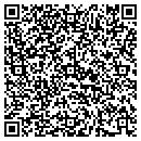 QR code with Precious Dolls contacts