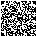 QR code with Carl A Nelson & Co contacts