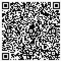 QR code with Amvets contacts