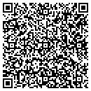 QR code with Cairo Public Library contacts