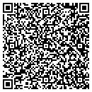 QR code with Premier Valley Bank contacts