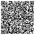 QR code with V-Tech contacts