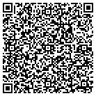 QR code with Pulaski Public Library contacts