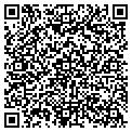 QR code with Taub M contacts