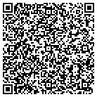 QR code with Pulteney Free Library contacts