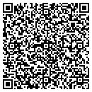 QR code with Pullin Jr Ivan contacts