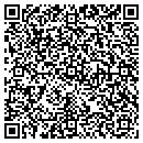 QR code with Professional Touch contacts