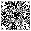 QR code with Chapin Branch Library contacts