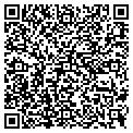 QR code with Magtek contacts