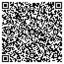 QR code with Pubelo Imaging contacts