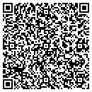 QR code with Pyramid Credit Union contacts