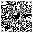QR code with Public Service Cu contacts