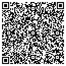 QR code with Precise Group contacts