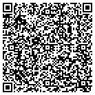 QR code with Pulaski County Library contacts