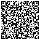 QR code with Psilos Group contacts
