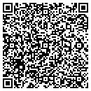 QR code with Bgi Inc contacts